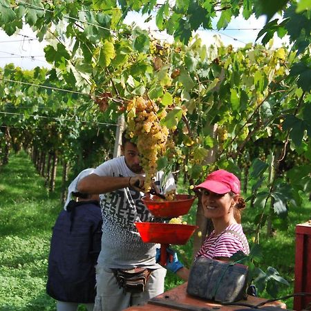 Agriturismo Torre Cristina Aprilia Zewnętrze zdjęcie