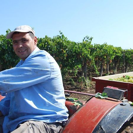 Agriturismo Torre Cristina Aprilia Zewnętrze zdjęcie