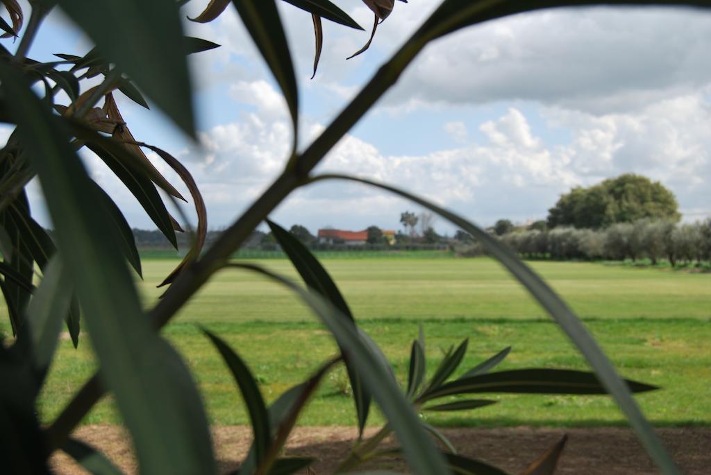 Agriturismo Torre Cristina Aprilia Zewnętrze zdjęcie