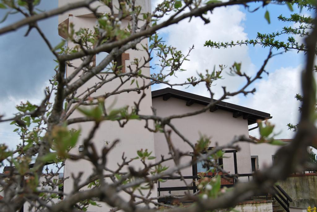 Agriturismo Torre Cristina Aprilia Zewnętrze zdjęcie