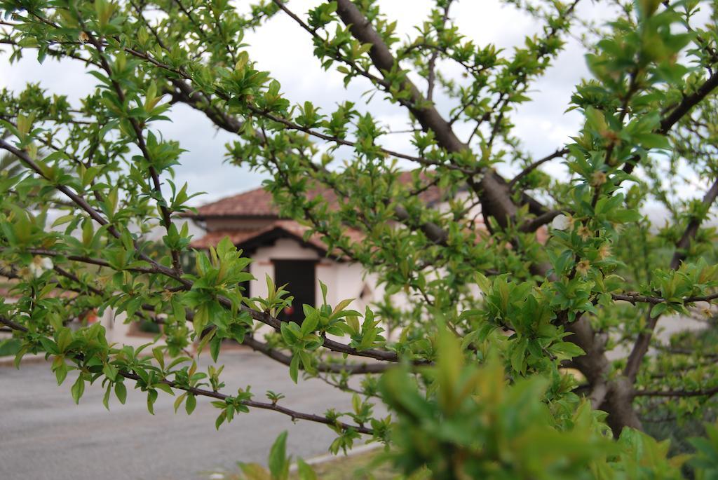 Agriturismo Torre Cristina Aprilia Zewnętrze zdjęcie