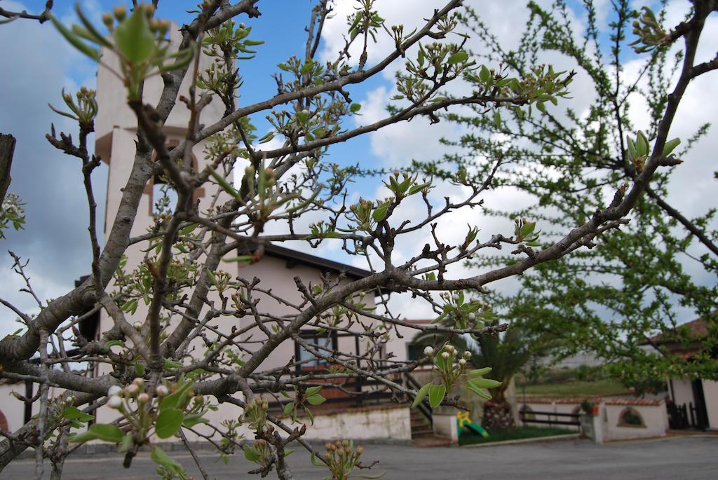 Agriturismo Torre Cristina Aprilia Zewnętrze zdjęcie
