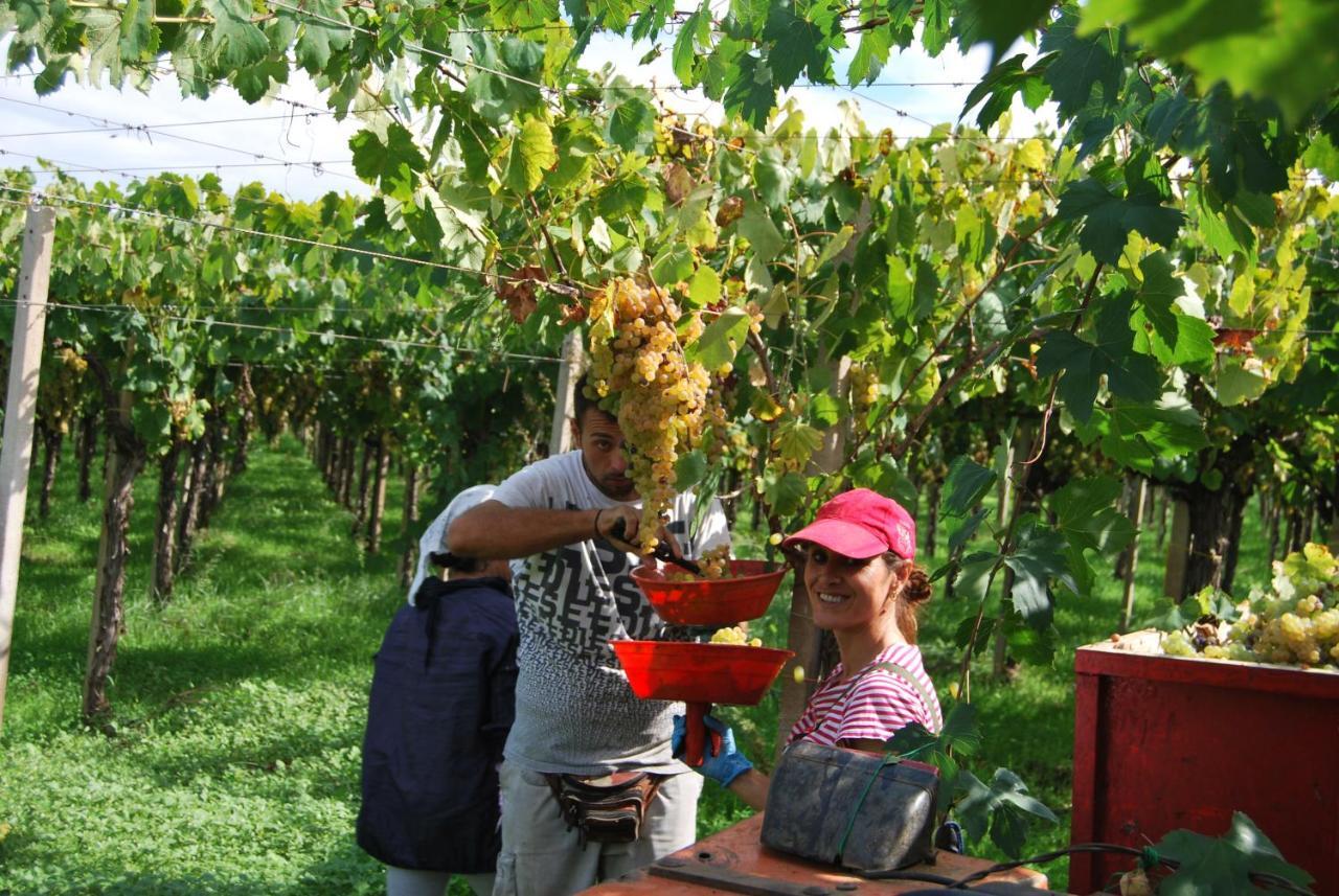 Agriturismo Torre Cristina Aprilia Zewnętrze zdjęcie
