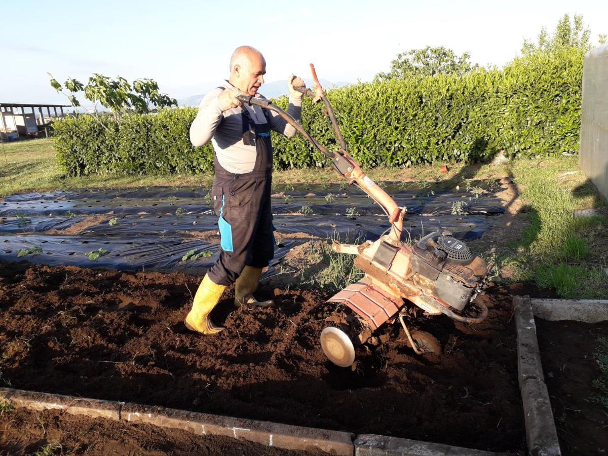 Agriturismo Torre Cristina Aprilia Zewnętrze zdjęcie