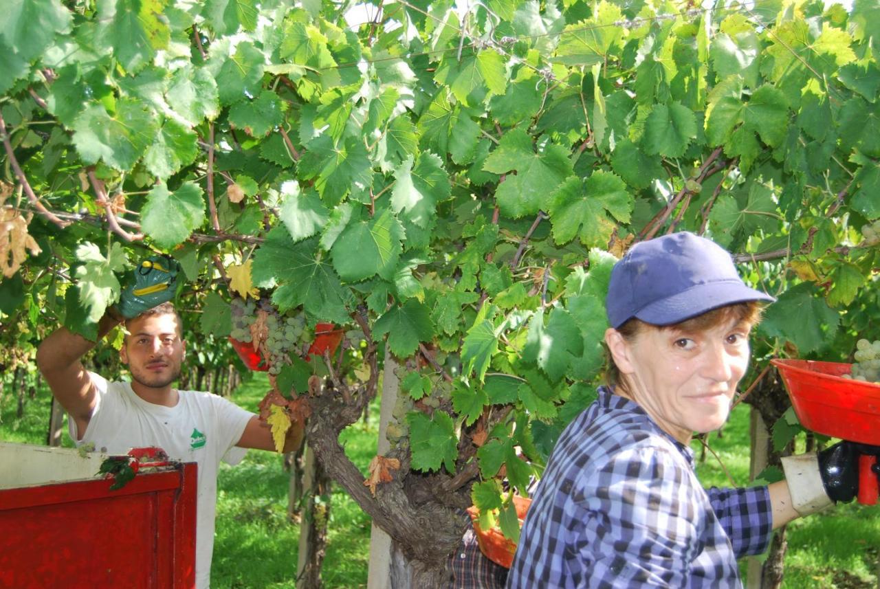 Agriturismo Torre Cristina Aprilia Zewnętrze zdjęcie