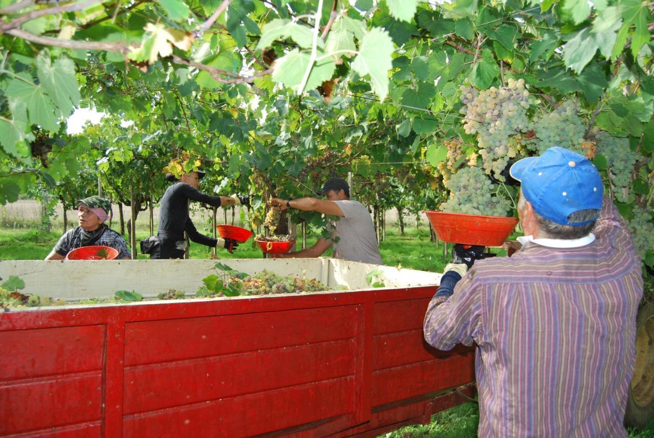 Agriturismo Torre Cristina Aprilia Zewnętrze zdjęcie