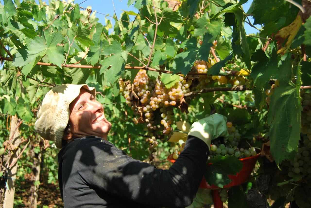 Agriturismo Torre Cristina Aprilia Zewnętrze zdjęcie